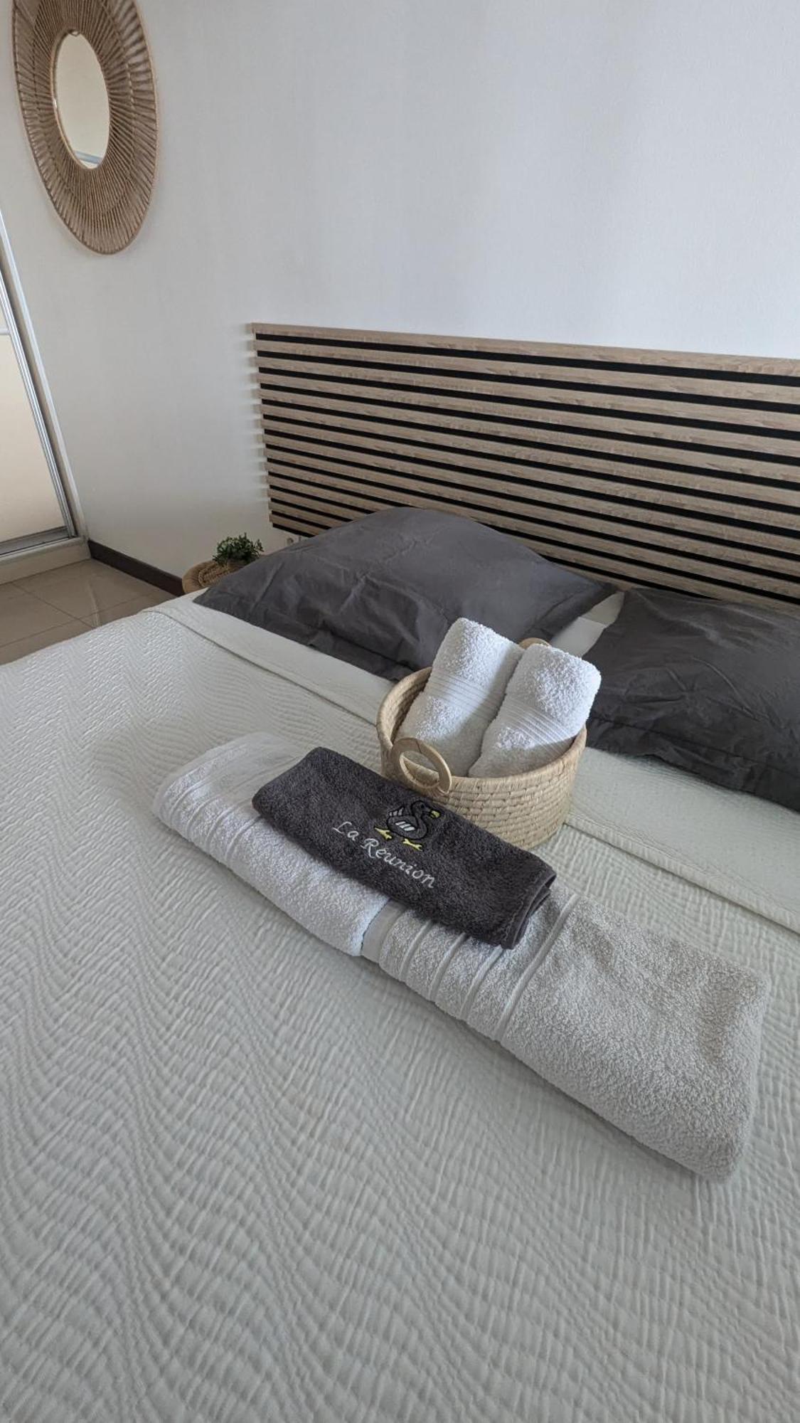 Entierement Equipe, Climatise, Wifi, Au Dernier Etage Sans Vis A Vis Daire Saint-Denis Dış mekan fotoğraf